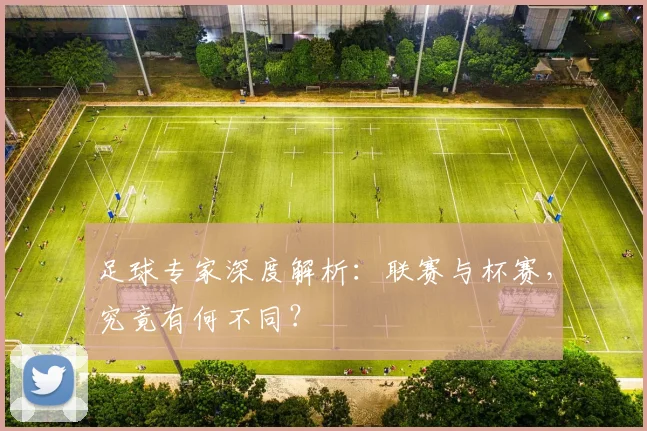 足球专家深度解析:联赛与杯赛,究竟有何不同?