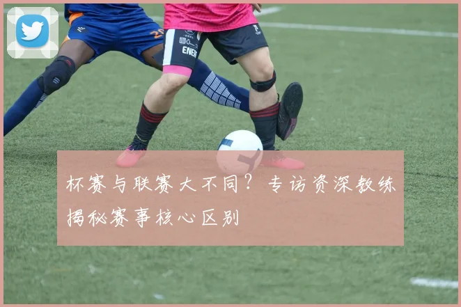 杯赛与联赛大不同？专访资深教练揭秘赛事核心区别