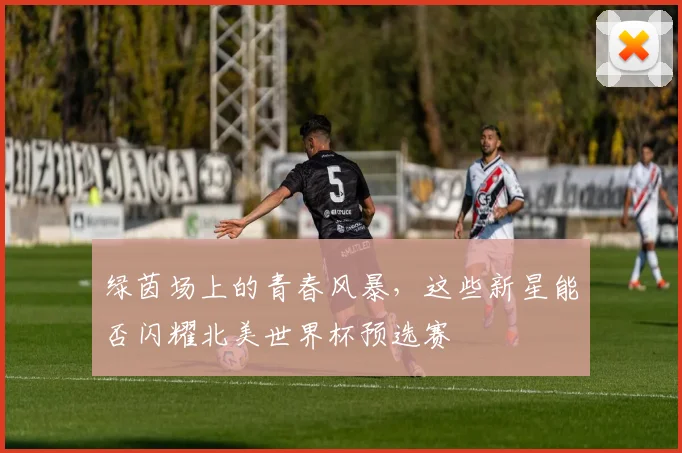 绿茵场上的青春风暴，这些新星能否闪耀北美世界杯预选赛
