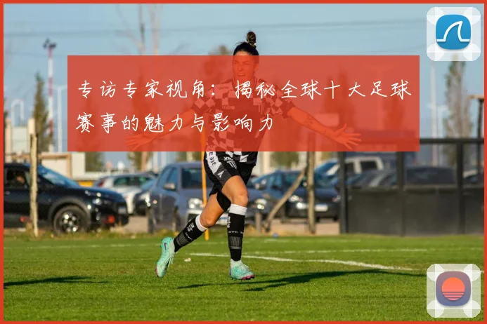 专访专家视角：揭秘全球十大足球赛事的魅力与影响力
