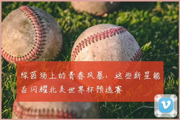 绿茵场上的青春风暴，这些新星能否闪耀北美世界杯预选赛