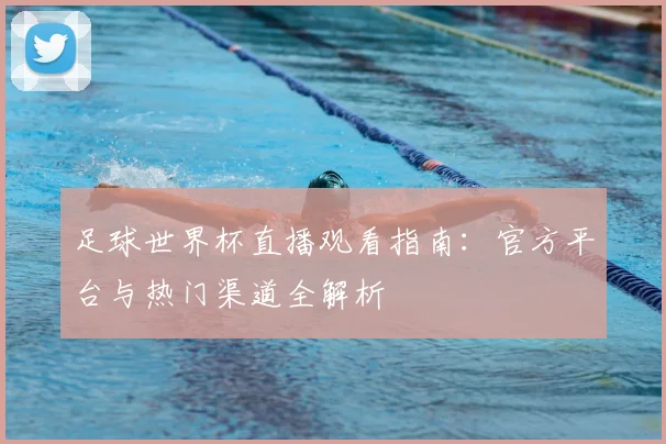 足球世界杯直播观看指南:官方平台与热门渠道全解析