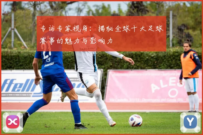 专访专家视角：揭秘全球十大足球赛事的魅力与影响力