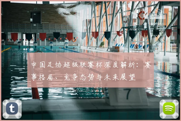 中国足协超级联赛杯深度解析：赛事格局、竞争态势与未来展望